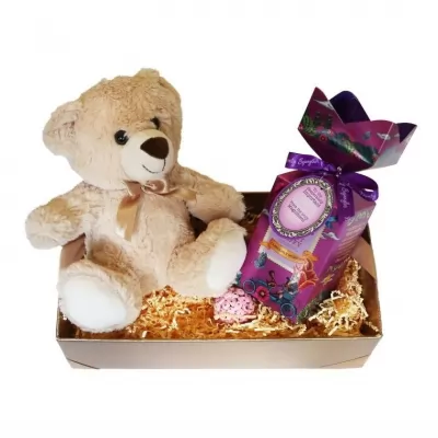 Pachet cadou pentru copii cu ursulet de plus si trufe de ciocolata Monty